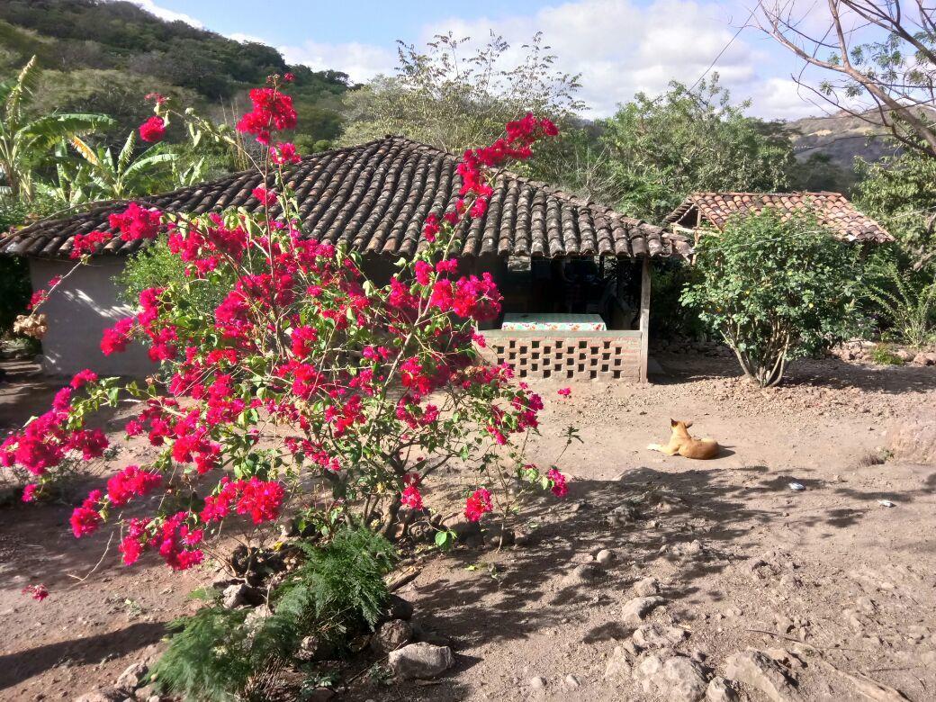 La Ceibita Tours Guest House Los Potrerillos Exterior photo